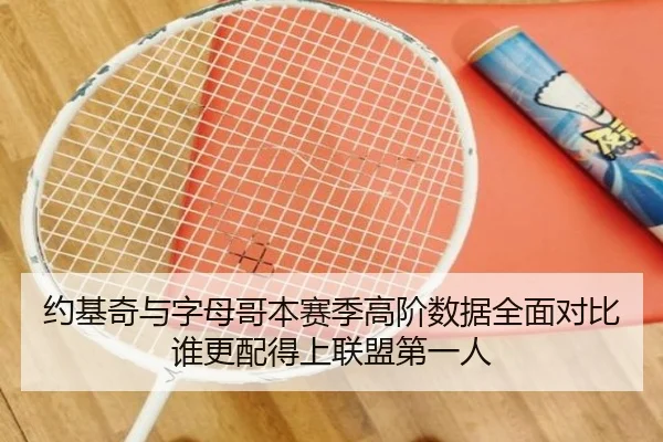 约基奇与字母哥本赛季高阶数据全面对比谁更配得上联盟第一人