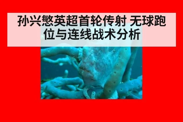 孙兴慜英超首轮传射 无球跑位与连线战术分析