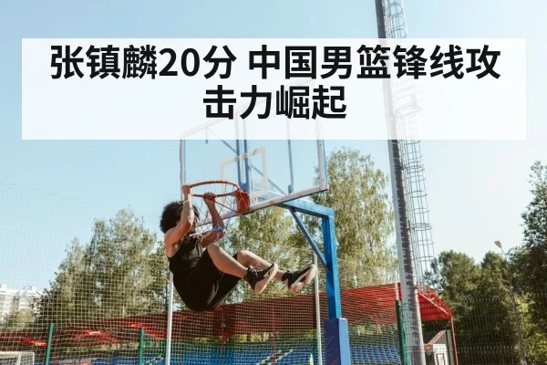 张镇麟20分 中国男篮锋线攻击力崛起